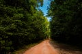 Jungle path to Starfish beach on Phu Quoc