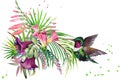 Jungle plant, bird and flowers. Hummingbird. rain forest watercolor illustration.