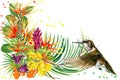 Jungle plant, bird and flowers. Hummingbird. rain forest watercolor illustration.