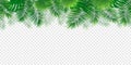 Jungle plants template banner. Tropical seamless border frame. vector illustration. Rainforest foliage repeated