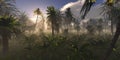 Jungle, rainforest during the plank, palm trees in the morning in the fog, jungle in the haze, 3D rendering Royalty Free Stock Photo