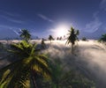 Jungle, rainforest during the plank, palm trees in the morning in the fog, jungle in the haze, 3D rendering Royalty Free Stock Photo