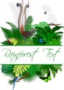 Jungle Rainforest Summer Tropical Leaves Wildlife Vector Design with Lyrebird, Echidna, White cockatoo