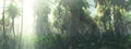 Jungle, rays of light in the fog of a tropical forest Royalty Free Stock Photo