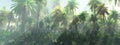 Jungle, rays of light in the fog of a tropical forest Royalty Free Stock Photo