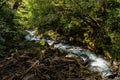 Jungle river in the heart of the Rainforest of Costa Rica Royalty Free Stock Photo