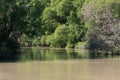 Jungle River - Kakadu National Park, Australia Royalty Free Stock Photo