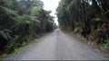 Jungle road in Hokitika west coast of southland New Zealand most popular traveling destination