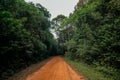 jungle road in nature reserve