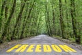 jungle road to freedom