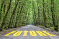 Jungle road to future Royalty Free Stock Photo