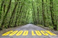 Jungle road to good luck Royalty Free Stock Photo