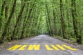 Jungle road to new life Royalty Free Stock Photo