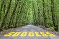 Jungle road to success Royalty Free Stock Photo