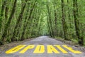 Jungle road to update Royalty Free Stock Photo