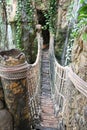 Jungle Rope Bridge Royalty Free Stock Photo