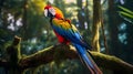 Jungle\'s Gem: Scarlet Macaw in Exotic Splendor