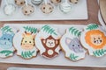 Jungle safari animal birthday sweets Royalty Free Stock Photo