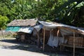 Jungle shop in the Philippines