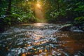 Jungle Stream at Sunset. Royalty Free Stock Photo