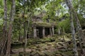 Jungle temple Angkor Archeological Park, Cambodia