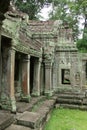 Jungle Temple - Angkor Wat