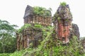 Jungle and temple ruins at My Son Royalty Free Stock Photo