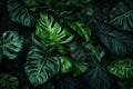 jungle tree green colourful close-up nature leaf forest tropical background palm. Generative AI. Royalty Free Stock Photo