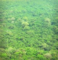 Jungle. Tropical forest from bird`s eye view. Sri Lanka Royalty Free Stock Photo