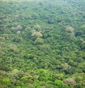 Jungle. Tropical forest from bird`s eye view. Sri Lanka Royalty Free Stock Photo