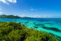 Jungle and Turquoise Water Royalty Free Stock Photo