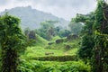 Jungle Vietnam myson area in cloudy day Royalty Free Stock Photo