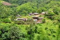 Jungle village