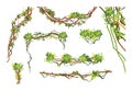 Jungle vine branches. Cartoon hanging liana plants. Jungle climbing green plant vector collection