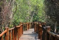 Jungle walkway