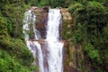 Jungle waterfall Royalty Free Stock Photo