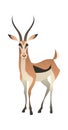 Jungle wild antelope. Gazelle savannah animal, wildlife trendy exotic childish print, african fauna. Vector flat cartoon Royalty Free Stock Photo