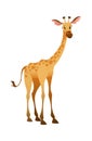 Jungle wild giraffe. Colorful beautiful safari or zoo cartoon animal, wildlife trendy exotic print, african fauna
