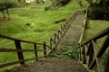 Jungle Wooden Passage