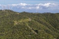 Jungles around Cerro de Punta, Puerto Rico, highest point