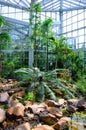 Jungles in Palmen Garten, Frankfurt am Main, Hessen, Germany Royalty Free Stock Photo