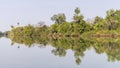 The jungles and river