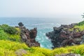 Jungmun Daepo Coast Jusangjeolli Cliff, Jeju Island