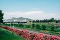 Jungnangcheon Stream park with pink rose flowers in Seoul, Korea