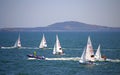 Junior European Championship sailing race