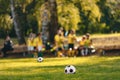 Junior Football Training Pitch. Soccer Balls on Grass Field. School Soccer Team in Yellow Shirts in Blurred Background Royalty Free Stock Photo