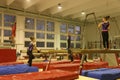 Junior gymnasts in training