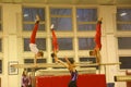 Junior gymnasts in training