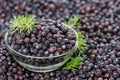 Juniper Berries background image Royalty Free Stock Photo