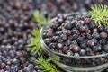 Juniper Berries background image Royalty Free Stock Photo